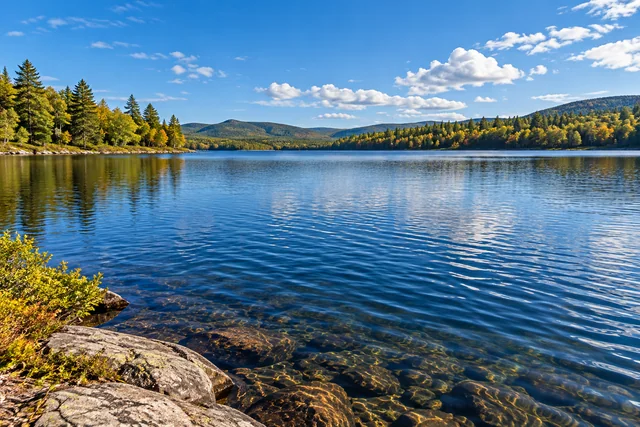 Alder River South Branch Reservoir — AI-generated editorial illustration