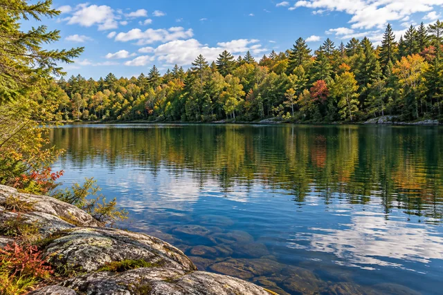 Appleton Ridge Pond — AI-generated editorial illustration