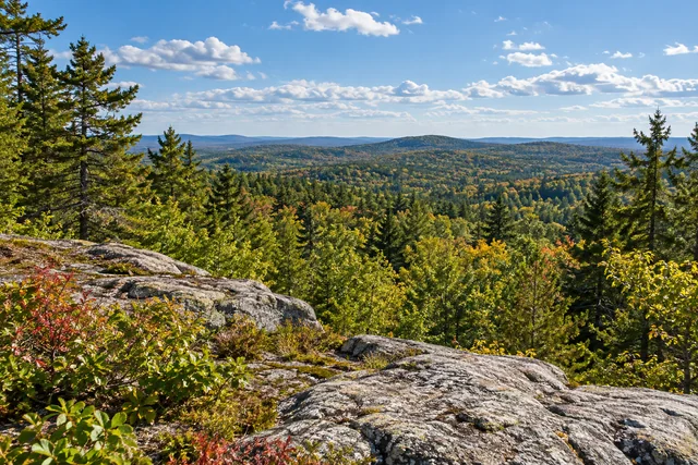 Blueberry Hill Scenic Area — AI-generated editorial illustration