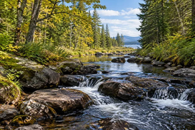 Forest Legacy Conservation Area — Forest Legacy: Woodland Routes Beside ...