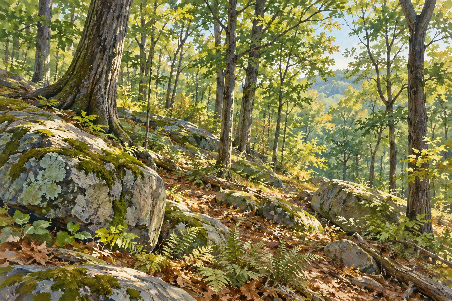 Black Rock Forest — AI-generated editorial illustration