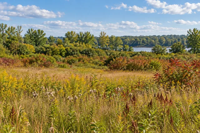 Oriskany Flats Wildlife Management Area — AI-generated editorial illustration