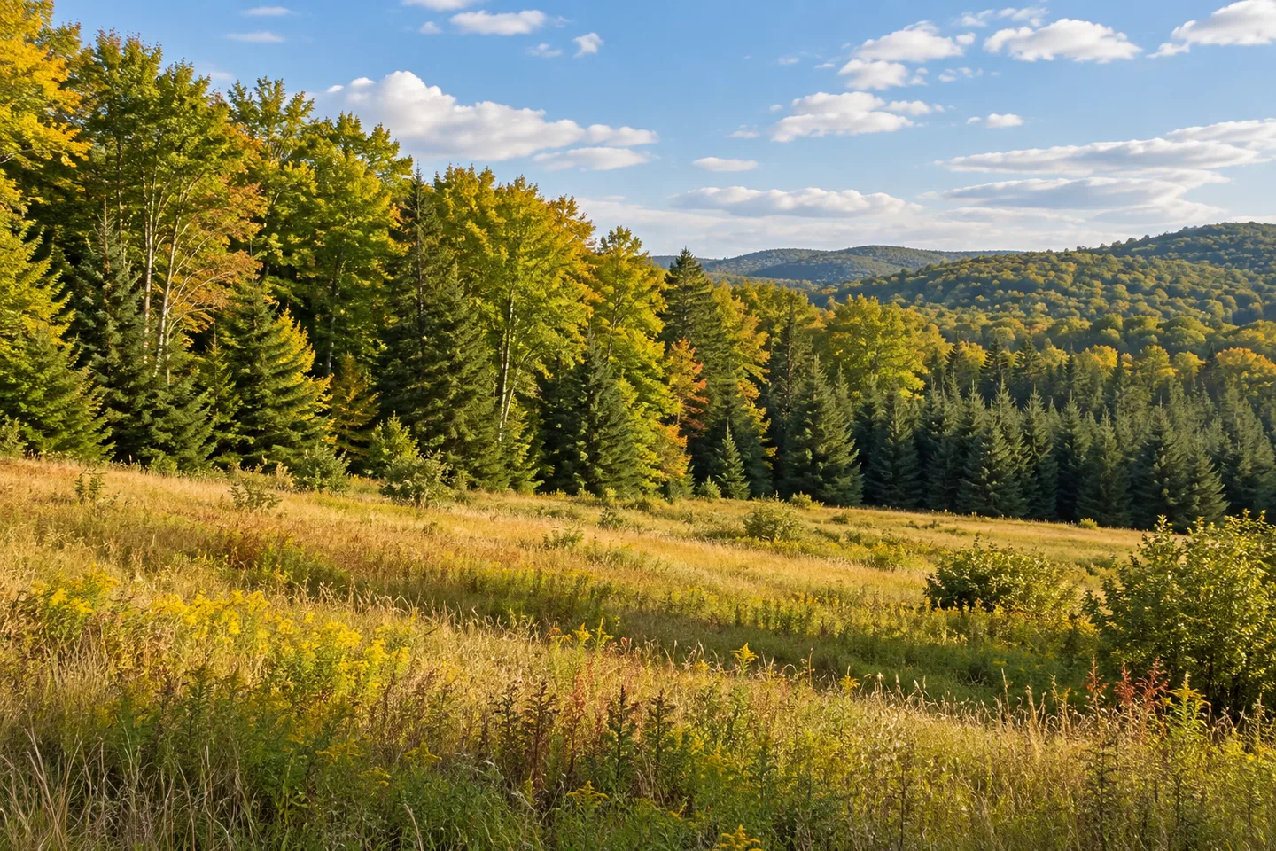 Penn Mountain State Forest — AI-generated editorial illustration