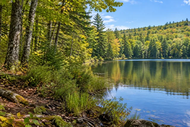 Pleasant Lake State Forest — AI-generated editorial illustration
