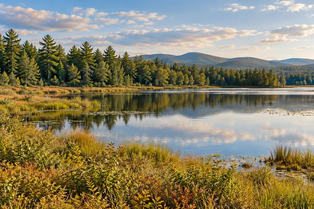 Saranac Lakes Wild Forest — AI-generated editorial illustration