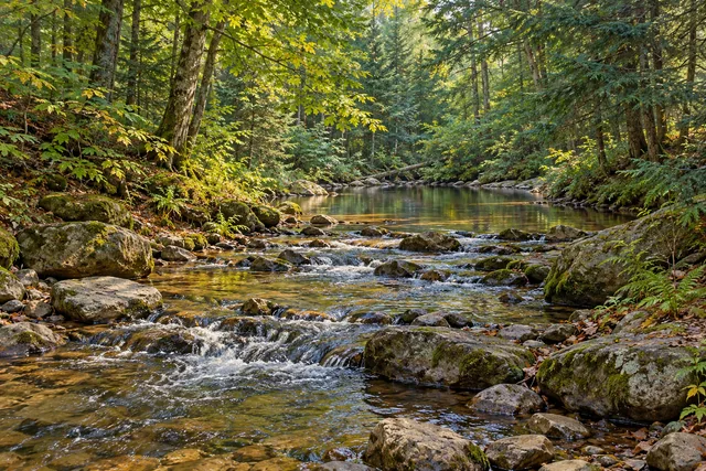 Whippoorwill Corners State Forest — AI-generated editorial illustration